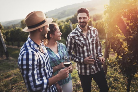 Full Day Mount Tamborine Winery Tour From Gold Coast - Darwin Tourism 5