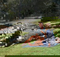 Mt Tamborine - Hinterland Wonders Self Guided - Darwin Tourism