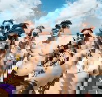 Whitsunday Islands Sailing Adventure - Darwin Tourism