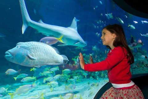 SEA LIFE Melbourne Aquarium Admission Ticket - Darwin Tourism 1