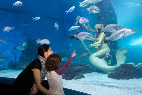 SEA LIFE Melbourne Aquarium Admission Ticket - Darwin Tourism 4
