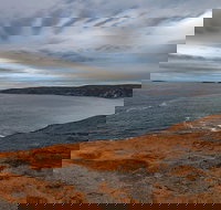 Kangaroo Island Luxury Small Group 'Flinders Chase Focus' Full Day Tour - Darwin Tourism