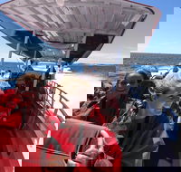 Adventure Rottnest Tour with Ferry  Adventure Cruise from Perth or Fremantle - Darwin Tourism