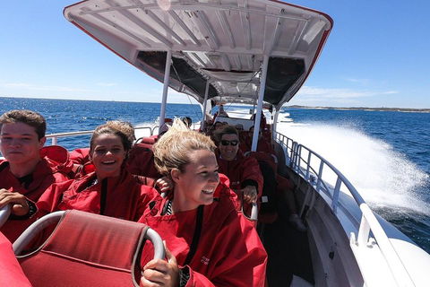 Adventure Rottnest Tour With Ferry & Adventure Cruise From Perth Or Fremantle - Darwin Tourism 0
