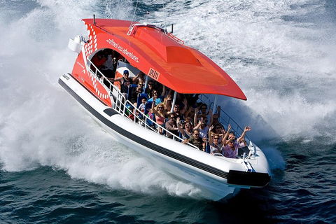 Adventure Rottnest Tour With Ferry & Adventure Cruise From Perth Or Fremantle - Darwin Tourism 2
