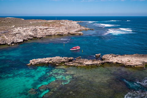 Adventure Rottnest Tour With Ferry & Adventure Cruise From Perth Or Fremantle - Darwin Tourism 3
