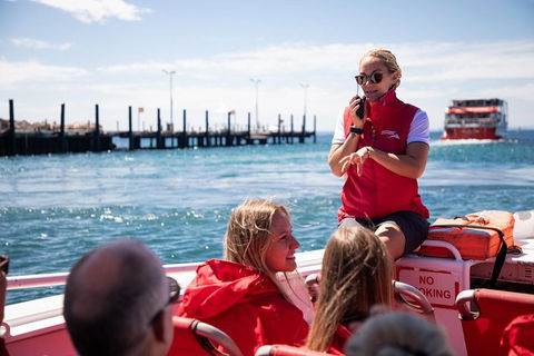 Adventure Rottnest Tour With Ferry & Adventure Cruise From Perth Or Fremantle - Darwin Tourism 4