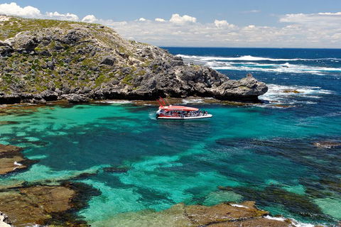 Adventure Rottnest Tour With Ferry & Adventure Cruise From Perth Or Fremantle - Darwin Tourism 5