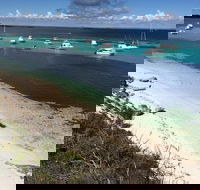 Experience Rottnest with Ferry  Bike Hire from Perth or Fremantle - Darwin Tourism