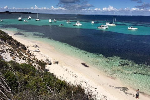 Experience Rottnest With Ferry & Bike Hire From Perth Or Fremantle - Darwin Tourism 0