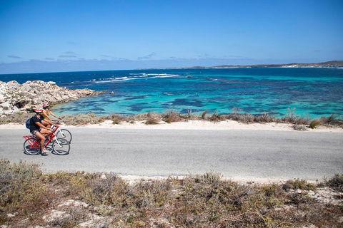 Experience Rottnest With Ferry & Bike Hire From Perth Or Fremantle - Darwin Tourism 2