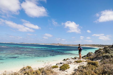 Experience Rottnest With Ferry & Bike Hire From Perth Or Fremantle - Darwin Tourism 3