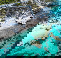 Rottnest Island Round-Trip Ferry from Perth or Fremantle - Darwin Tourism