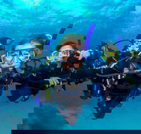 Great Barrier Reef Diving and Snorkeling Cruise from Cairns - Darwin Tourism