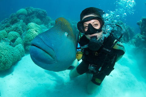 Great Barrier Reef Diving And Snorkeling Cruise From Cairns - Darwin Tourism 2