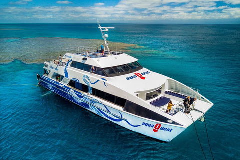 Great Barrier Reef Diving And Snorkeling Cruise From Cairns - Darwin Tourism 5