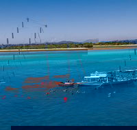 Ocean Free Green Island  Great Barrier Reef Snorkel Cruise Cairns 25 guests - Darwin Tourism