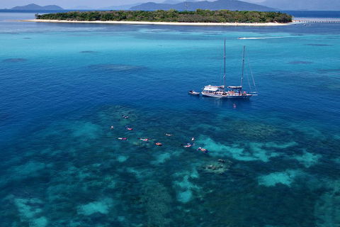 Ocean Free Green Island & Great Barrier Reef Snorkel Cruise, Cairns 25 Guests - Darwin Tourism 2