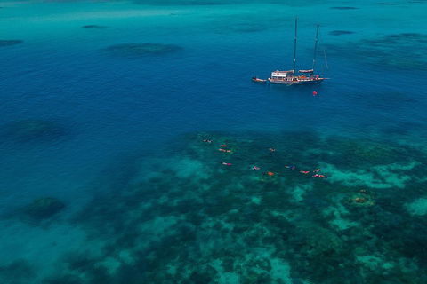 Ocean Free Green Island & Great Barrier Reef Snorkel Cruise, Cairns 25 Guests - Darwin Tourism 5