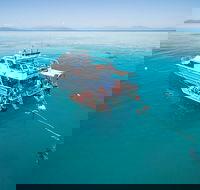 Ocean Freedom Great Barrier Reef Personal Luxury Snorkel  Dive Cruise Cairns - Darwin Tourism