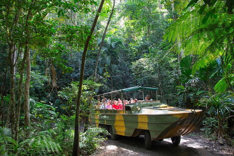 Kuranda Highlights Including Rainforestation Aboriginal Culture And Wildlife - Darwin Tourism 2