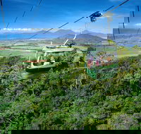Best of Kuranda Including Skyrail Kuranda Scenic Railway and Rainforestation - Darwin Tourism