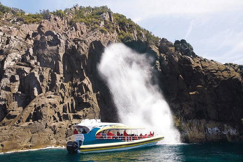 Full-Day Bruny Island Cruises Day Tour From Hobart - Darwin Tourism 4