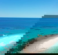 Ocean Safari Great Barrier Reef Experience in Cape Tribulation - Darwin Tourism