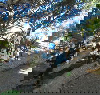 1/2 day Swan Valley Wine Cheese  Chocolate Tour Inc Afternoon Cruise to Perth - Darwin Tourism