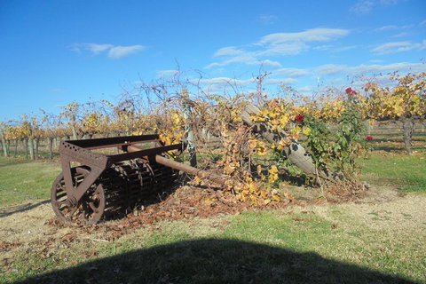 Swan Valley Tour From Perth: Wine, Beer And Chocolate Tastings - Darwin Tourism 3