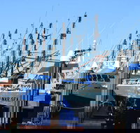 One Day Port Lincoln Tour - Tasting Eyre - Darwin Tourism