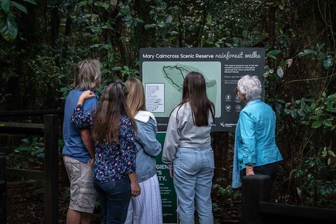 Sunshine Coast Hinterland And Noosa Day Trip From Brisbane Including Eumundi Markets And Ginger Factory - Darwin Tourism 0