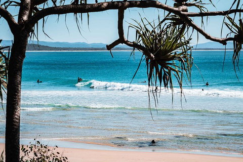Sunshine Coast Hinterland And Noosa Day Trip From Brisbane Including Eumundi Markets And Ginger Factory - Darwin Tourism 5