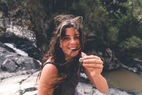 Springbrook AndTamborine Rainforest Tour Incl Natural Bridge And Glow Worm Cave - Darwin Tourism 1