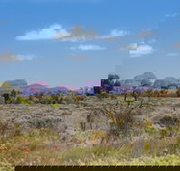 Overnight Uluru Ayers Rock Small-Group Camping Tour - Darwin Tourism