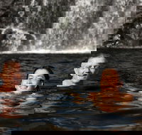 3 Day 4WD Dragonfly Dreaming Top End Safari - Darwin Tourism