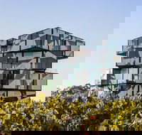 Small Group McLaren Vale and The Cube Experience - Darwin Tourism
