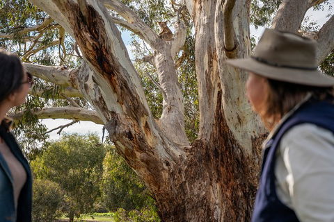 NEW TOUR - Kangaroo Island Road To Recovery Tour (1 Day/1 Night) - Darwin Tourism 0