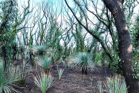 NEW TOUR - Kangaroo Island Road To Recovery Tour (1 Day/1 Night) - Darwin Tourism 3