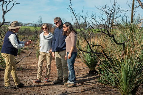 NEW TOUR - Kangaroo Island Road To Recovery Tour (1 Day/1 Night) - Darwin Tourism 4