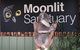 Private Tour: Phillip Island, Penguin Parade And Moonlit Sanctuary Conservation Park From Melbourne - thumb 3