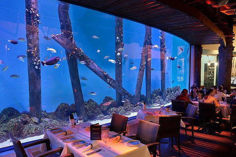 Cairns Aquarium And Small Group City Sightseeing Tour - Darwin Tourism 4
