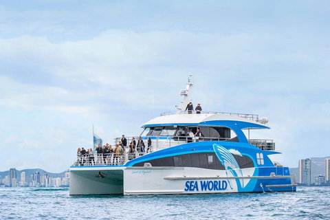Whale Watching By Sea World Cruises - Darwin Tourism 3