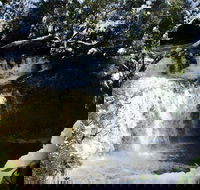 Cradle Mountain Day Tour from Launceston Including Lunch - Darwin Tourism