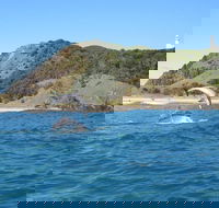 Kayaking with Dolphins in Byron Bay Guided Tour - Darwin Tourism