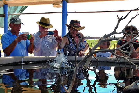 Cape Leveque 4WD Tour From Broome With Optional Return Flight - Darwin Tourism 0