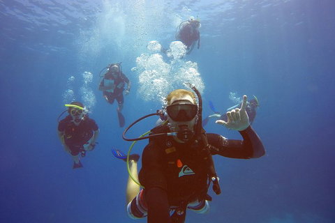 12-Day Great Barrier Reef Marine Conservation Program From Cairns - Darwin Tourism 0