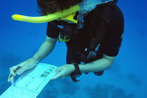 12-Day Great Barrier Reef Marine Conservation Program From Cairns - Darwin Tourism 2
