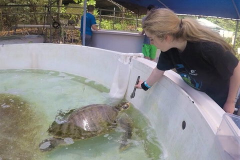 12-Day Great Barrier Reef Marine Conservation Program From Cairns - Darwin Tourism 4