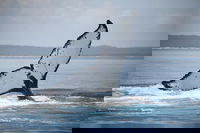 Book Viator Accommodation Vacations Darwin Tourism Darwin Tourism